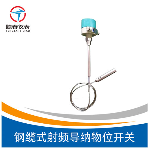 鋼纜式射頻導(dǎo)納物位開關(guān)